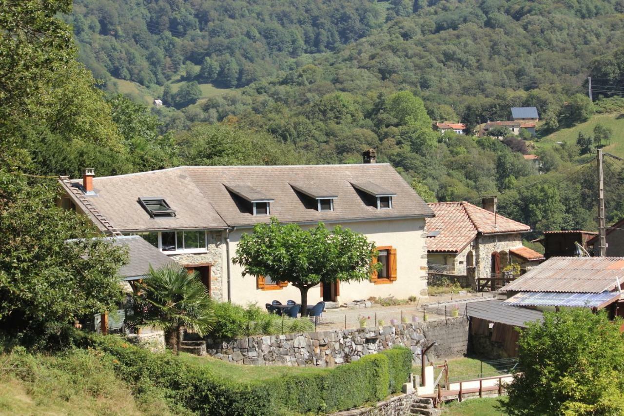 Maison Du Coue Pyrenees Mourtis Gite Pour 2 A 12 Pers Sengouagnet Exterior foto
